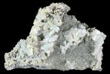 Blue Bladed Barite and Marcasite Association - Morocco #84859-1